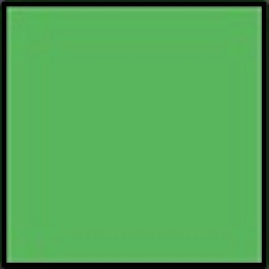 Farbiges Papier intensivgrün 160g/qm DIN A4